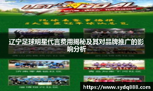 辽宁足球明星代言费用揭秘及其对品牌推广的影响分析