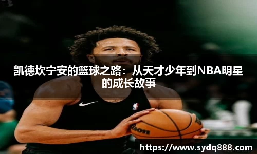 世俱杯官方用球
