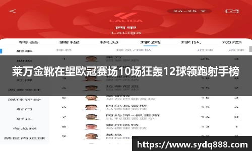 世俱杯官方用球