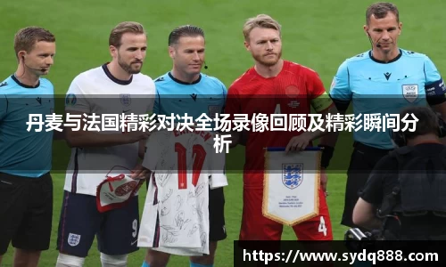 丹麦与法国精彩对决全场录像回顾及精彩瞬间分析